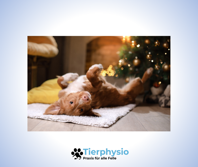 Augen auf in der Weihnachtszeit!