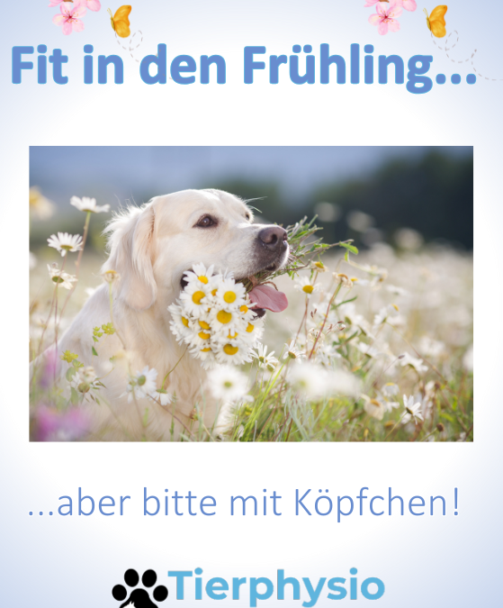 Fit in den Frühling – aber bitte mit Köpfchen