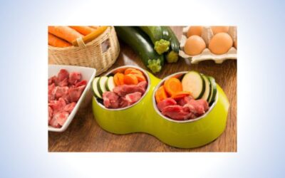 Neues bei mir in der Praxis: Futter von Lakefields